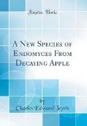 A New Species of Endomyces From Decaying Apple (Classic Reprint)