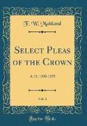 Select Pleas of the Crown, Vol. 1