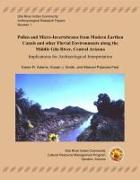 Pollen and Micro-Invertebrates from Modern Earthen Canals and Other Fluvial Environments Along the Middle Gila River: Implications for Archaeological