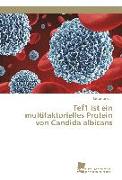 Tef1 ist ein multifaktorielles Protein von Candida albicans