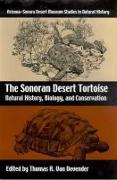 The Sonoran Desert Tortoise