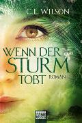 Wenn der Sturm tobt