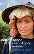 Making Sense of Human Rights