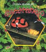 El Ciclo de Vida del Escarabajo (the Life Cycle of a Beetle)