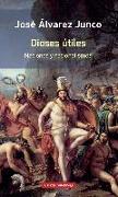 Dioses útiles : artículos sobre el nacionalismo