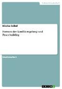 Formen der Konfliktregelung und Peacebuilding