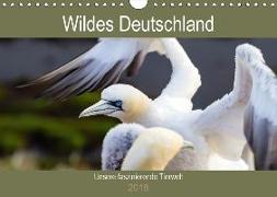 Wildes Deutschland - Unsere faszinierende Tierwelt (Wandkalender 2018 DIN A4 quer)