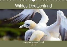 Wildes Deutschland - Unsere faszinierende Tierwelt (Wandkalender 2018 DIN A3 quer)