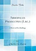 Arhopalus Productus (Lec.): A Borer in New Buildings (Classic Reprint)