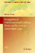 Propagation of Multidimensional Nonlinear Waves and Kinematical Conservation Laws