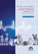 Técnica de identificación de arritmias cardíacas en perros y gatos