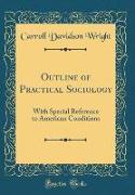 Outline of Practical Sociology: With Special Reference to American Conditions (Classic Reprint)