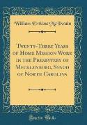 Twenty-Three Years of Home Mission Work in the Presbytery of Mecklenburg, Synod of North Carolina (Classic Reprint)