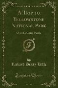 A Trip to Yellowstone National Park