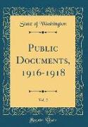 Public Documents, 1916-1918, Vol. 2 (Classic Reprint)