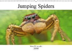 Jumping Spiders (Wall Calendar 2018 DIN A3 Landscape)
