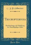 Trichopterygia