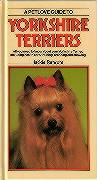 A Petlove Guide to Yorkshire Terriers