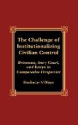 The Challenge of Institutionalizing Civilian Control