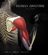 Human Anatomy:United States Edition
