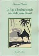 La fuga e il pellegrinaggio. Carlo Emilio Gadda e i viaggi