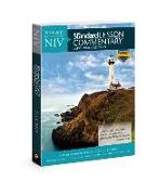 NIV(R) Standard Lesson Commentary(r) Large Print Edition 2018-2019