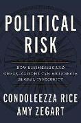 Political Risk: How Businesses and Organizations Can Anticipate Global Insecurity