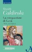 La compassione di Gesù. Meditazioni bibliche