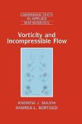 Vorticity and Incompressible Flow