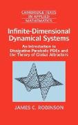 Infinite-Dimensional Dynamical Systems
