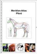 Meridian - Atlas Pferd