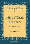 Industrial Mexico