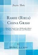 Ramie (Rhea) China Grass