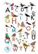 I Like Birds: An Alphabet of Birds Address Book