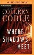 Where Shadows Meet: A Romantic Suspense Novel