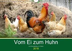 Vom Ei zum Huhn. Die Entwicklung von Küken (Wandkalender 2018 DIN A4 quer)