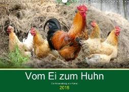 Vom Ei zum Huhn. Die Entwicklung von Küken (Wandkalender 2018 DIN A3 quer)