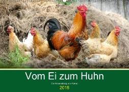 Vom Ei zum Huhn. Die Entwicklung von Küken (Wandkalender 2018 DIN A2 quer)