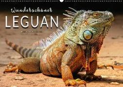 Wunderschöner Leguan (Wandkalender 2018 DIN A2 quer)