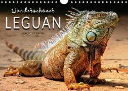 Wunderschöner Leguan (Wandkalender 2018 DIN A4 quer)