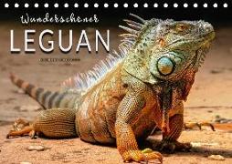 Wunderschöner Leguan (Tischkalender 2018 DIN A5 quer)