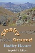 Shaky Ground (LP)