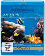 Aquarium HD