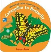 Caterpillar to Butterfly