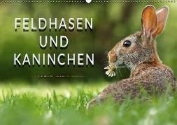 Feldhasen und Kaninchen (Wandkalender 2018 DIN A2 quer)