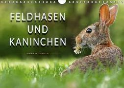 Feldhasen und Kaninchen (Wandkalender 2018 DIN A4 quer)