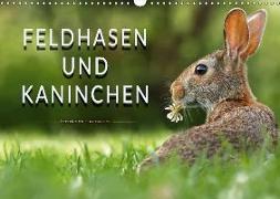 Feldhasen und Kaninchen (Wandkalender 2018 DIN A3 quer)