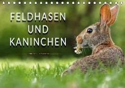 Feldhasen und Kaninchen (Tischkalender 2018 DIN A5 quer)