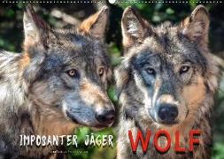 Wolf - Imposanter Jäger (Wandkalender 2018 DIN A2 quer)