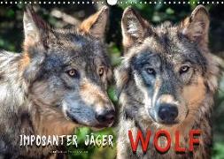 Wolf - Imposanter Jäger (Wandkalender 2018 DIN A3 quer)